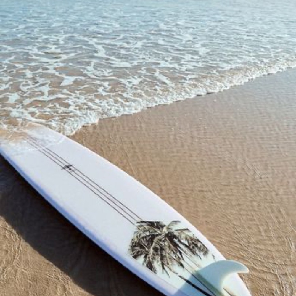 Meet your Posher, Shelly